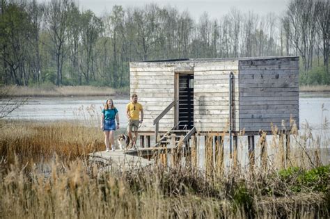 De Ilsan Lake Park: Een Oase Van Rust En Natuurschoon Midden In De Stad!