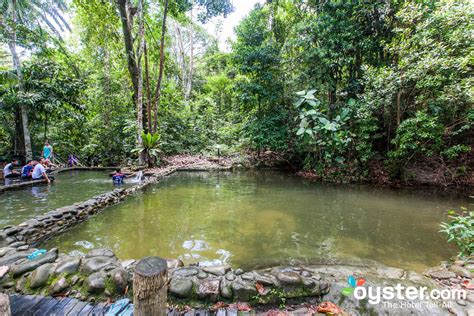 De Permai Rainforest Park: Een groene oase met spannende avonturen!