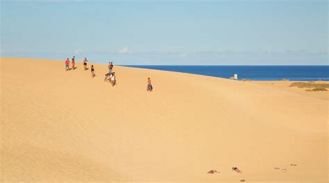 Parque das Dunas: Een Verwonderlijk Avontuur Door Zandduinen en Dichte Jungle!